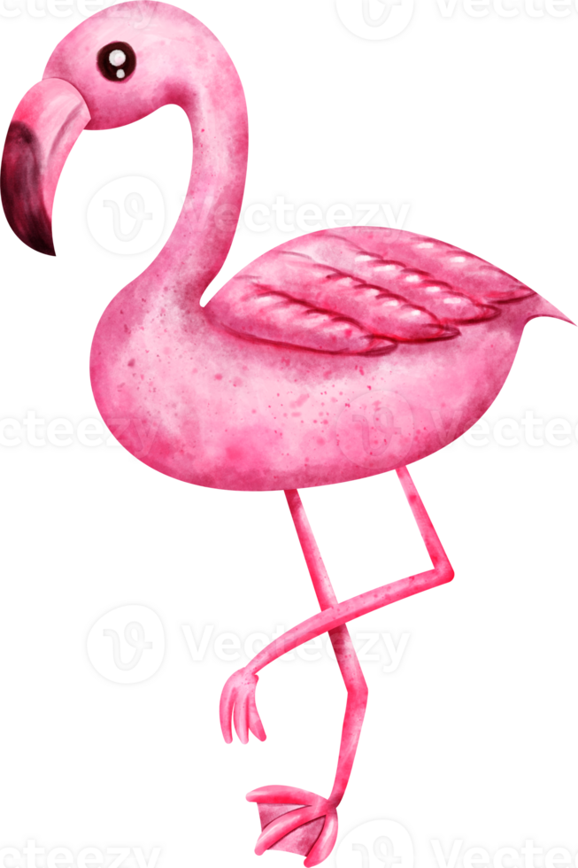 watercolor flamingo clip art png