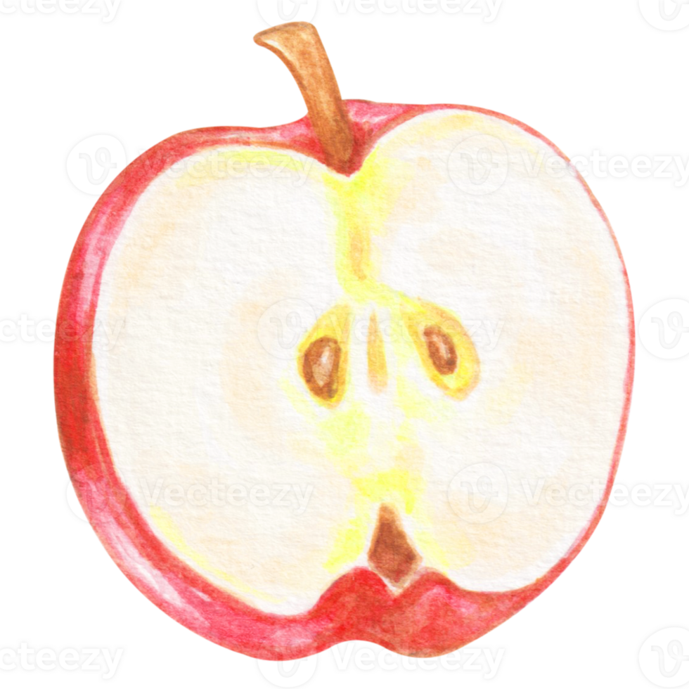 watercolor apple fruit png