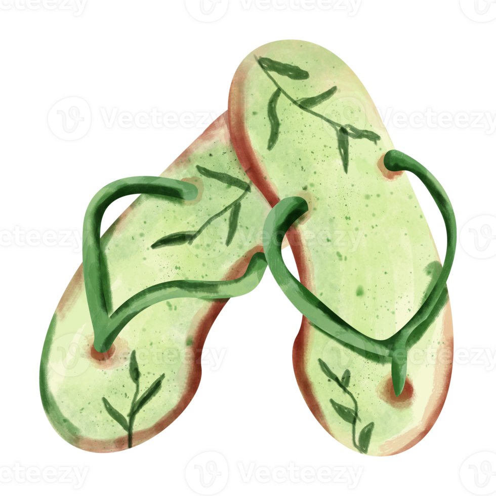 watercolor Flip flops png