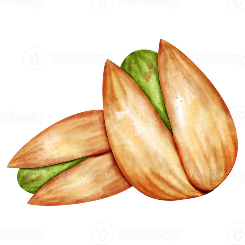 watercolor Pistachios clip art png