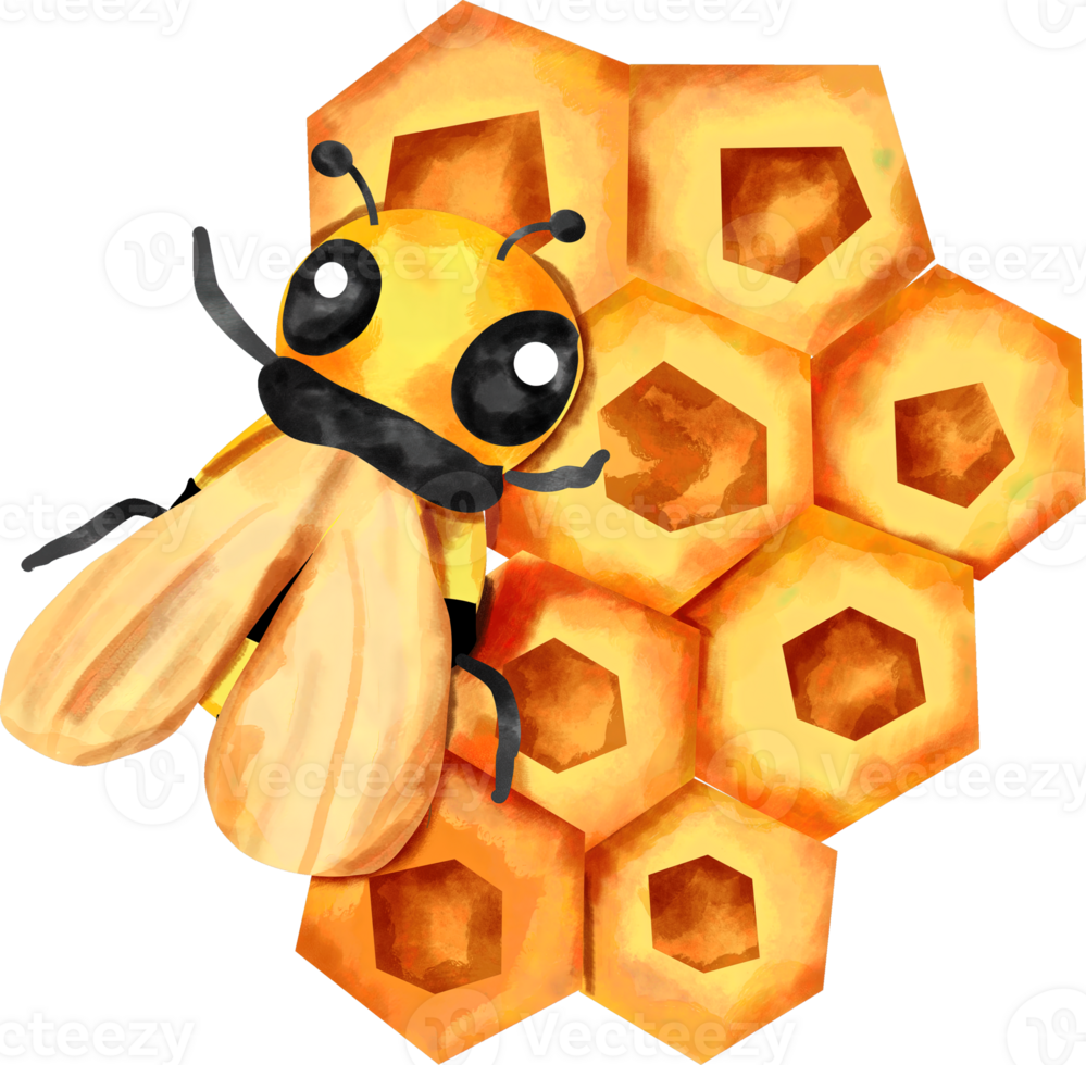 watercolor honey comb png