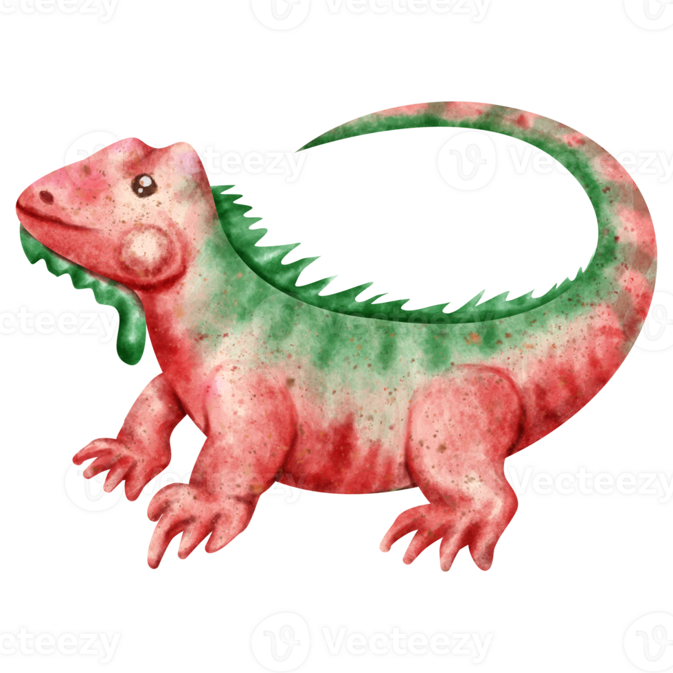 watercolor iguana clip art png