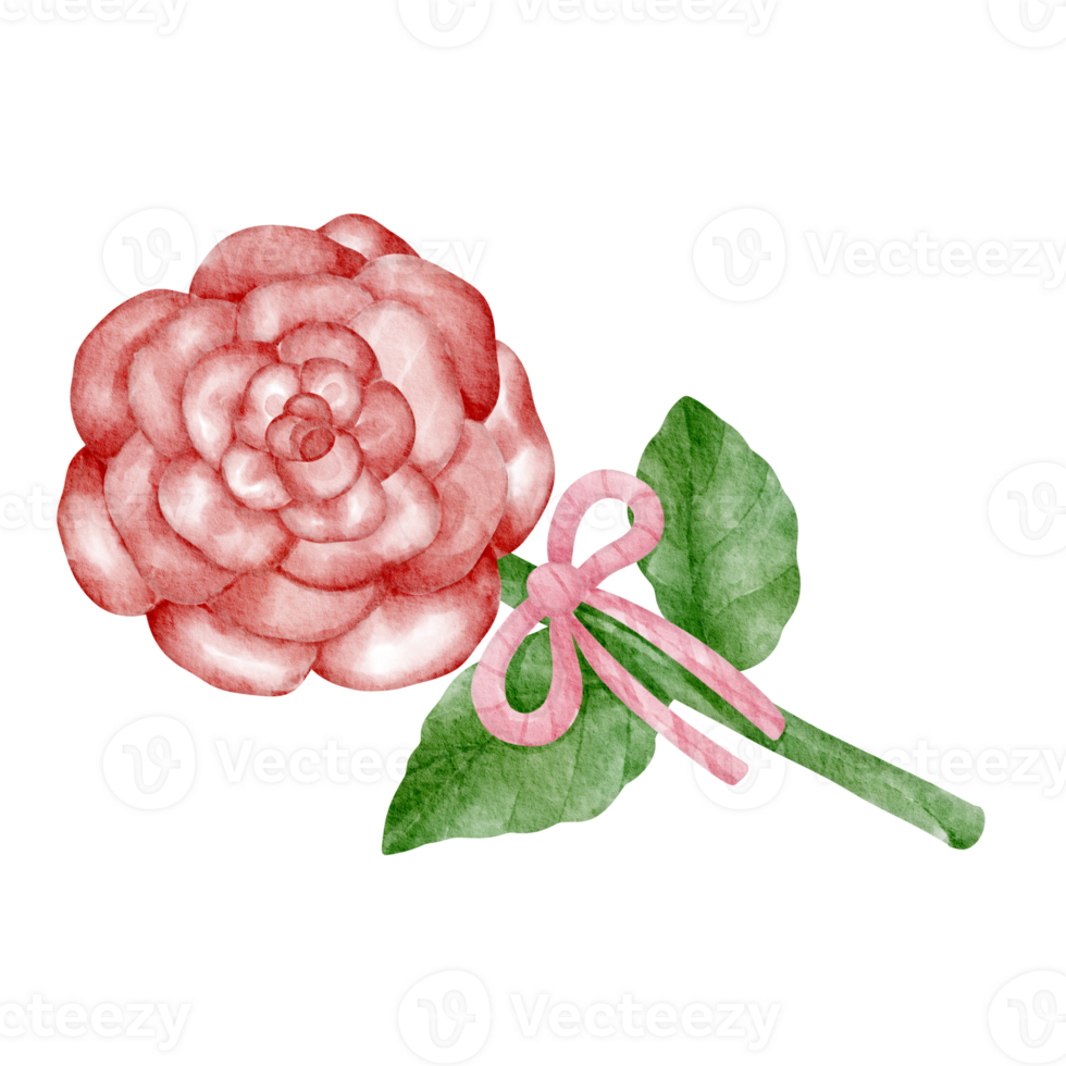 rose watercolor clip art 23323017 PNG