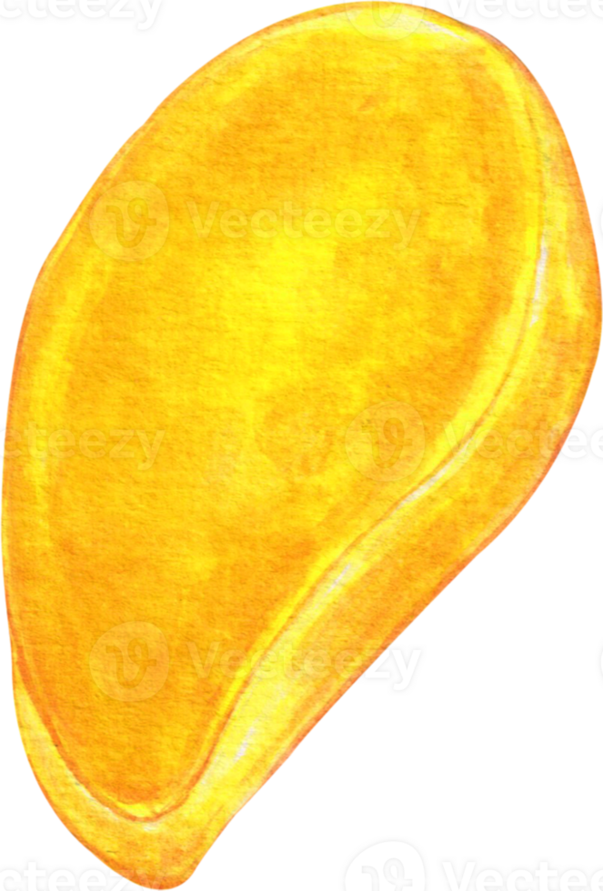 watercolor mango clip art png