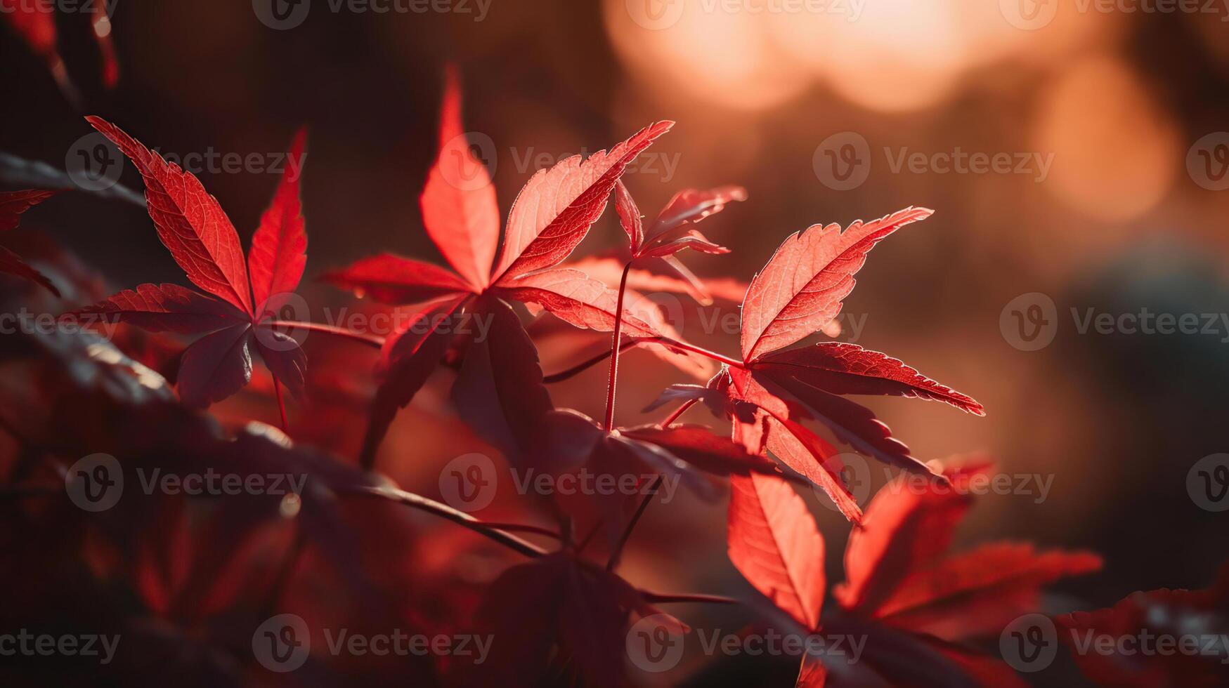 rojo hojas a puesta de sol con desenfocado luces - resumen otoño fondo, generativo ai foto