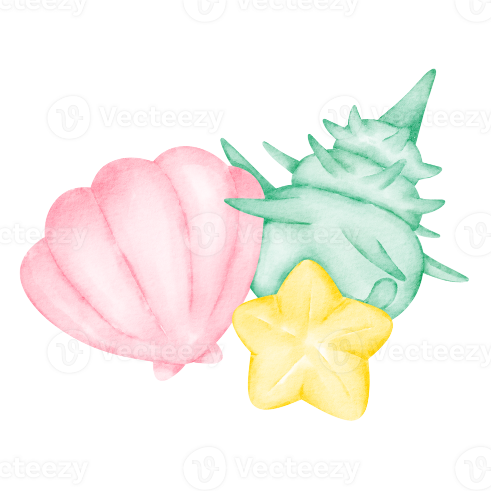 shellfish watercolor clip art png