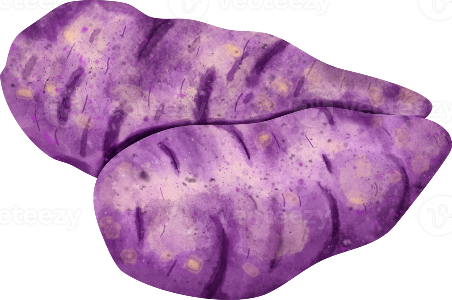 watercolor Sweet potato 23323717 PNG
