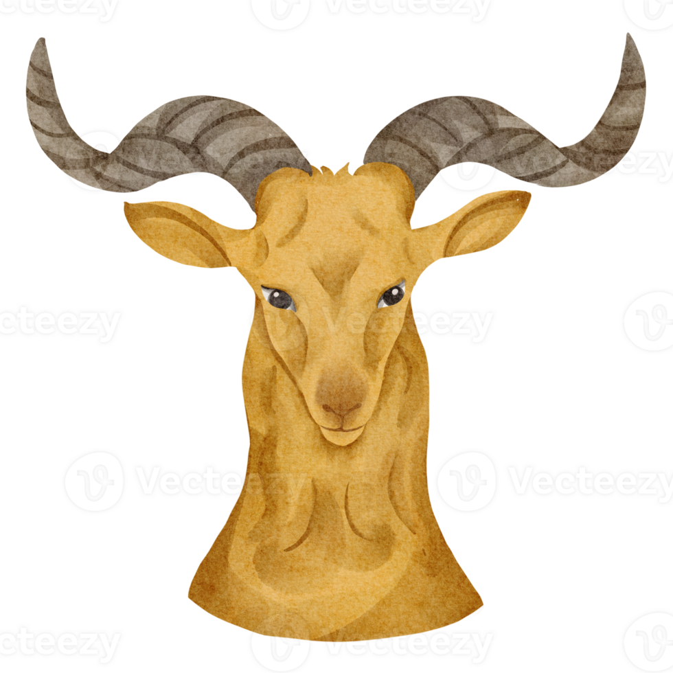 watercolor zodiac Capricorn png