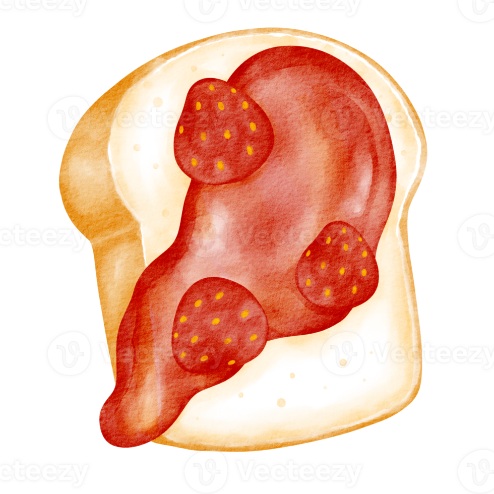 toast jam watercolor png