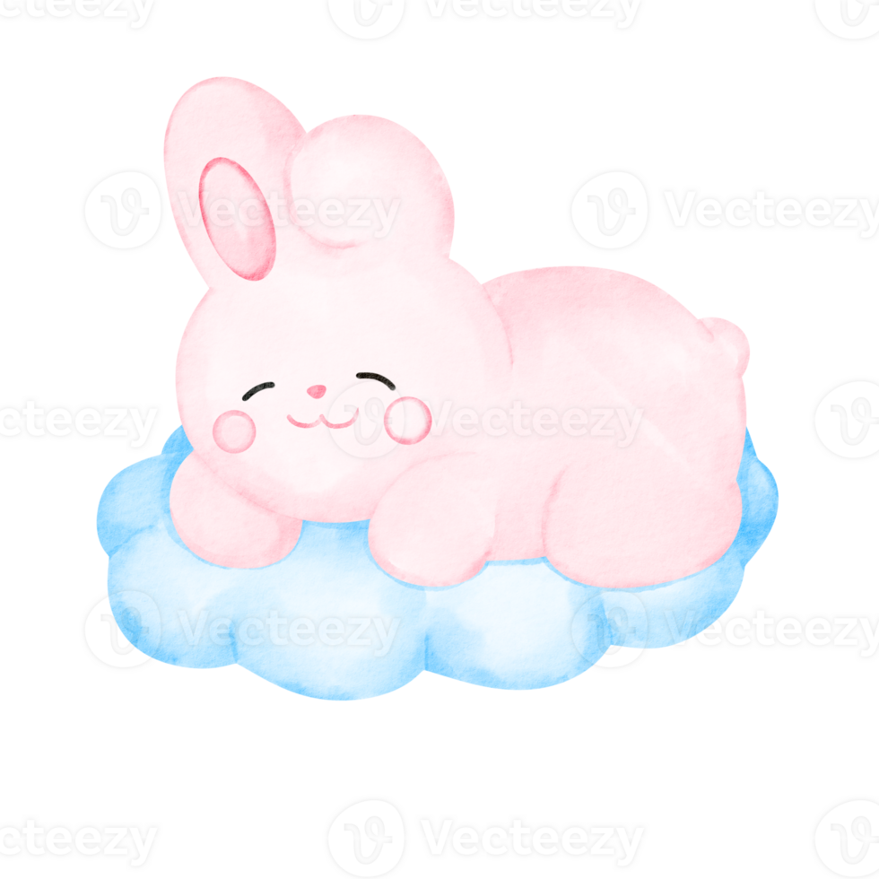 rabbit watercolor character png