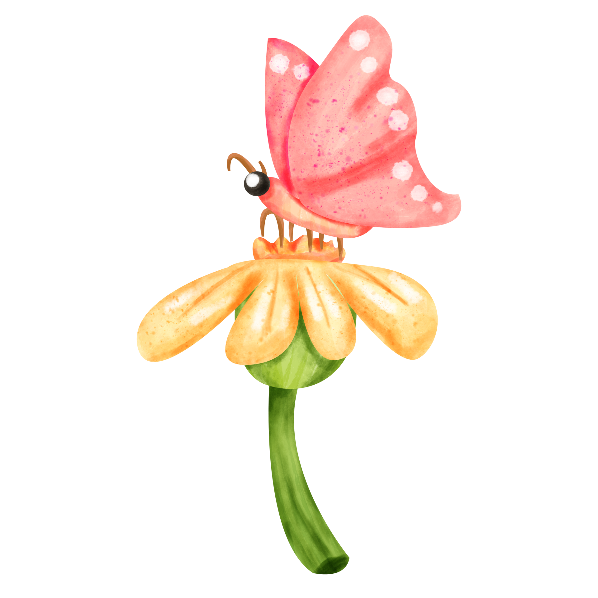 watercolor flower clip art 23323919 PNG