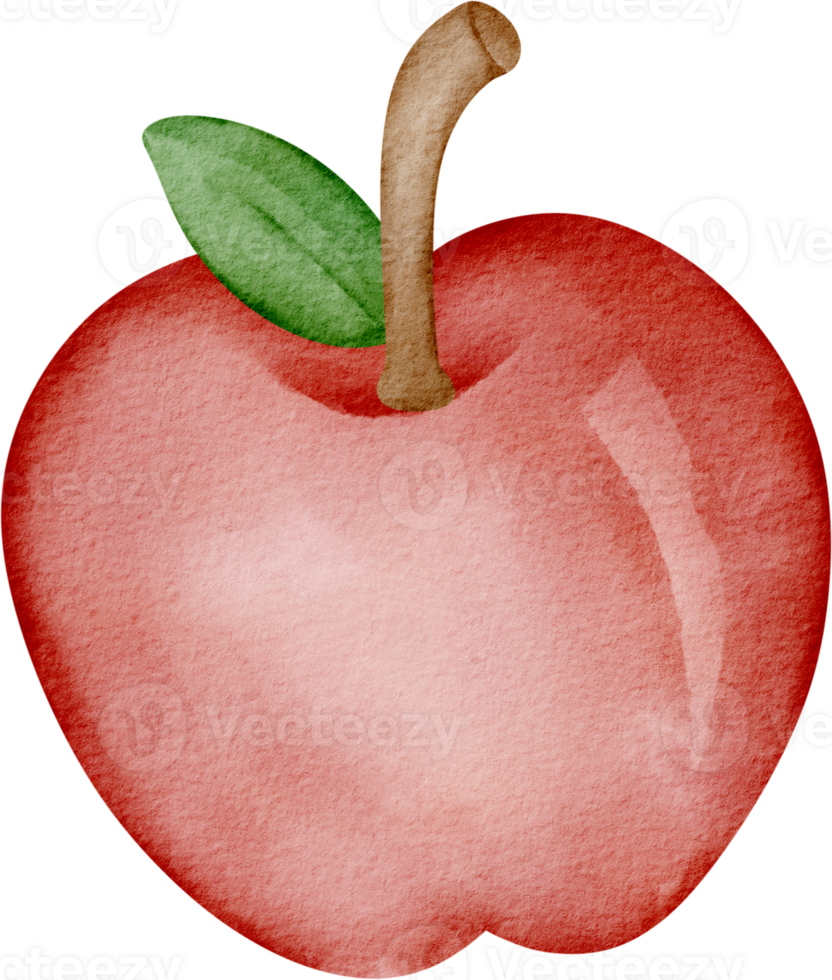 watercolor apple fruit clip art png