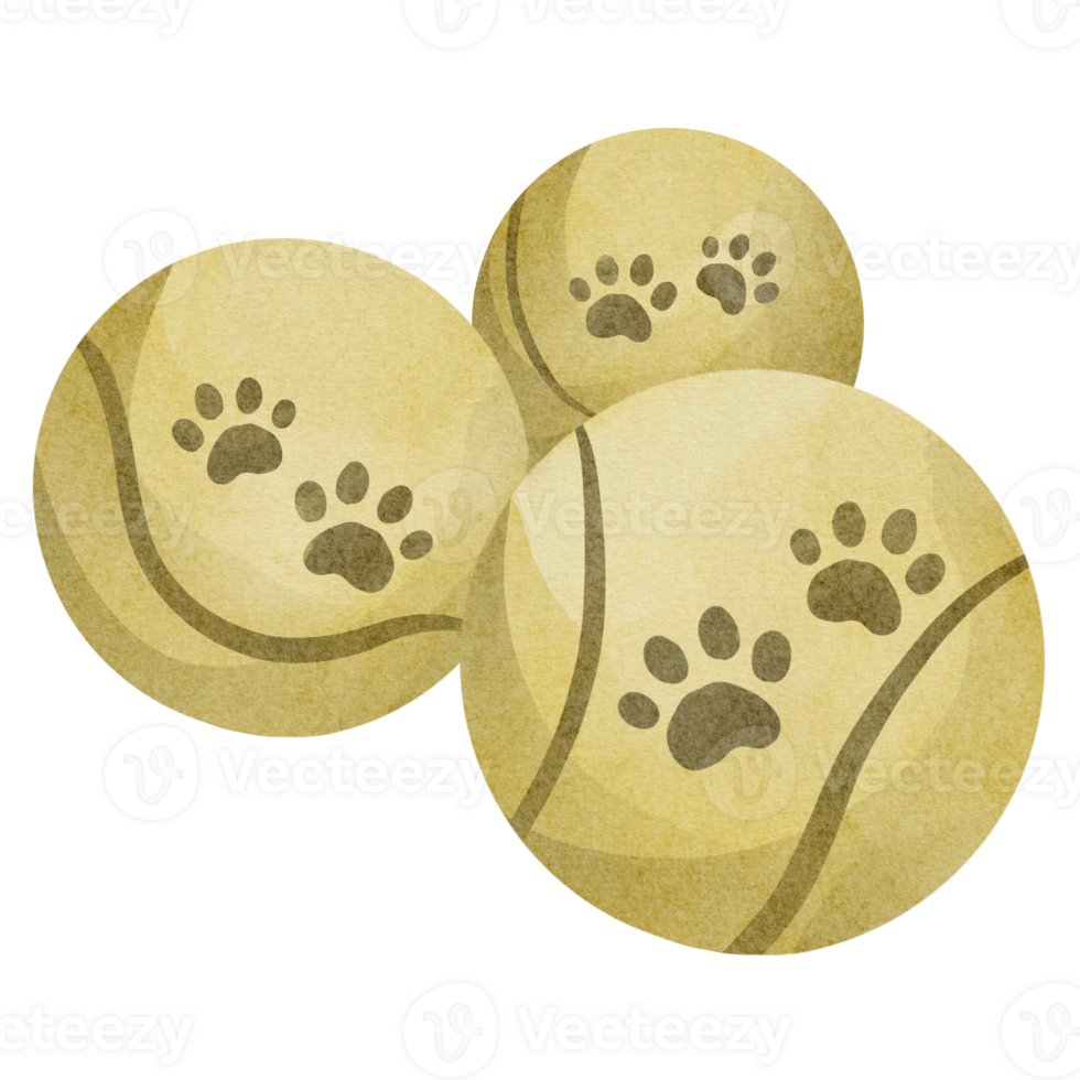 free-watercolor-pet-toy-23324630-png-with-transparent-background