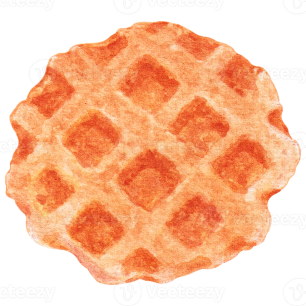 watercolor waffle dessert png
