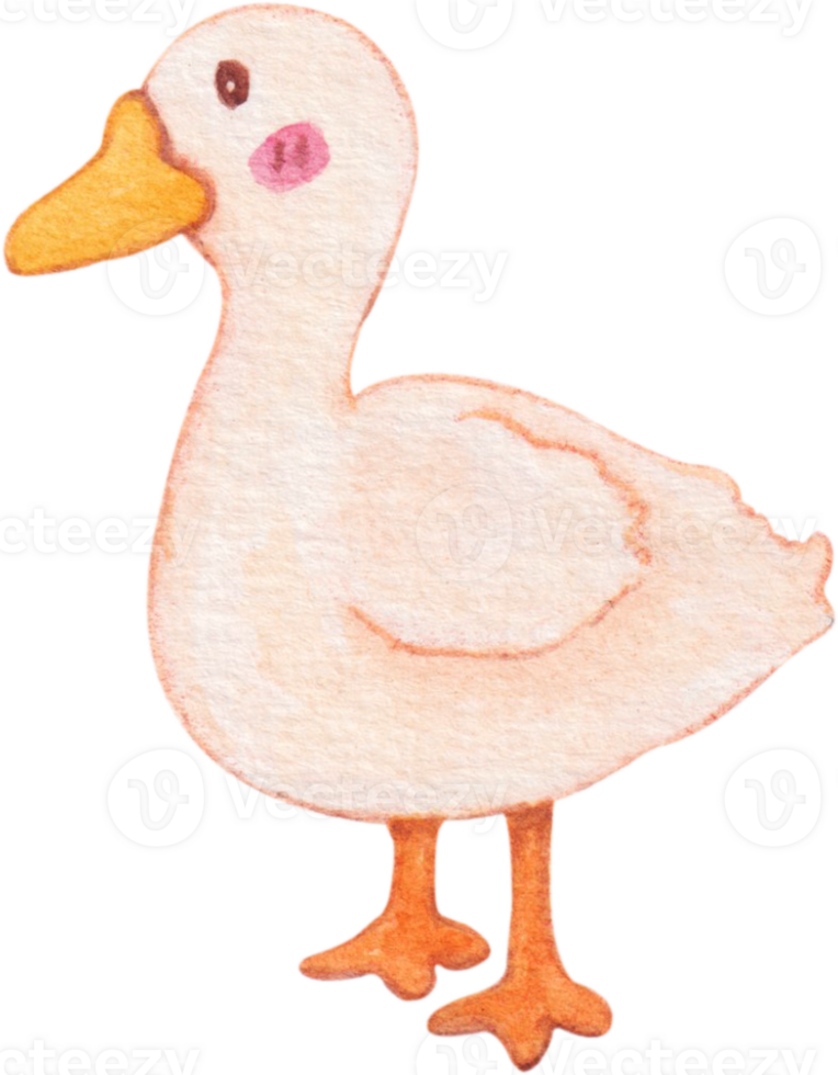 watercolor duck animal farm png