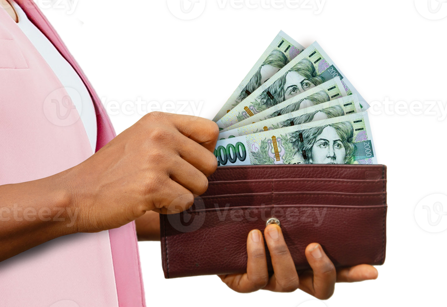 eerlijk vrouw hand- Holding bruin handtas met Tsjechisch kroon notities, hand- Verwijderen geld uit van handtas geïsoleerd Aan transparant achtergrond png