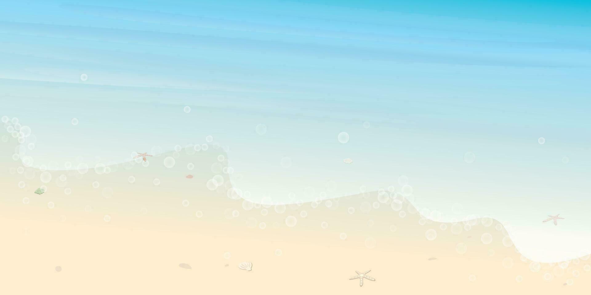 Tropical beach with wave, shells and starfish on white sand vector illustration. Seaside concept with blank space.