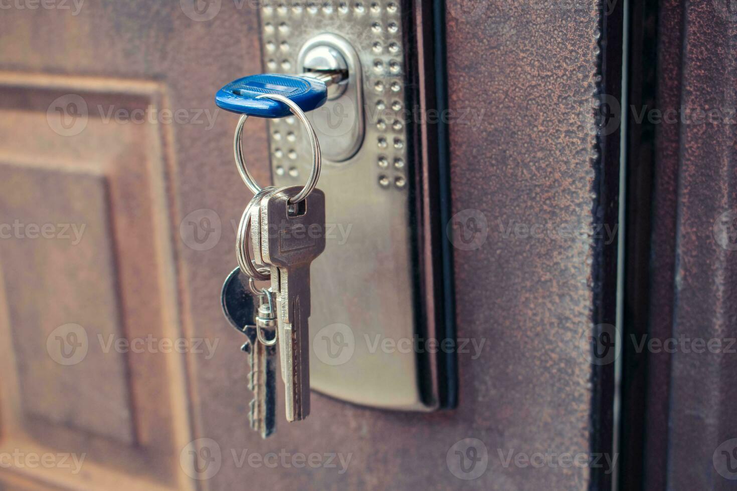 The key in the lock of the iron door. Toned image. photo