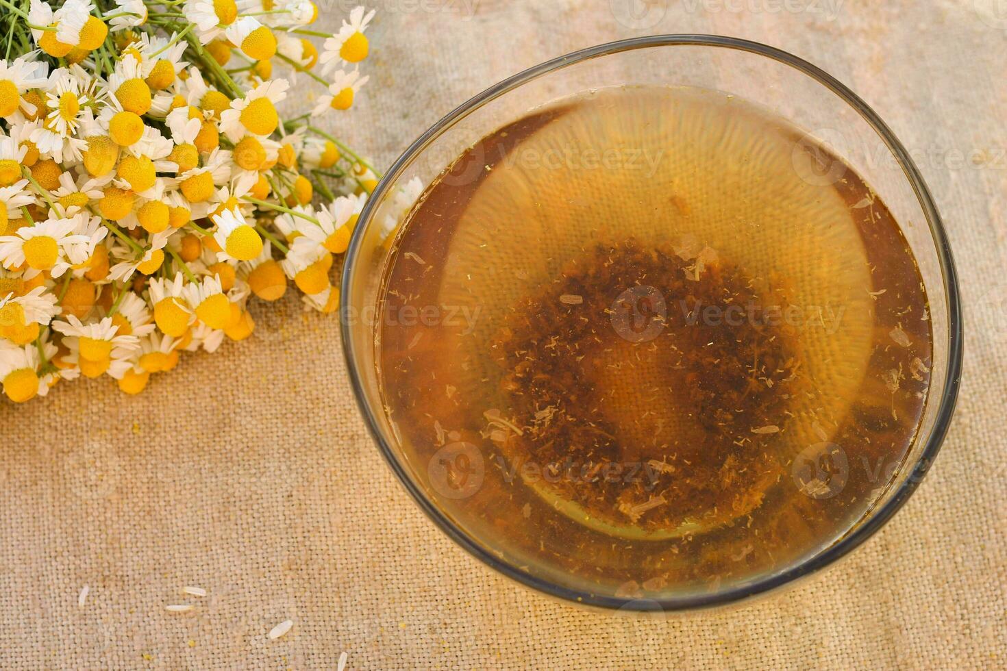 tincture of chamomile photo