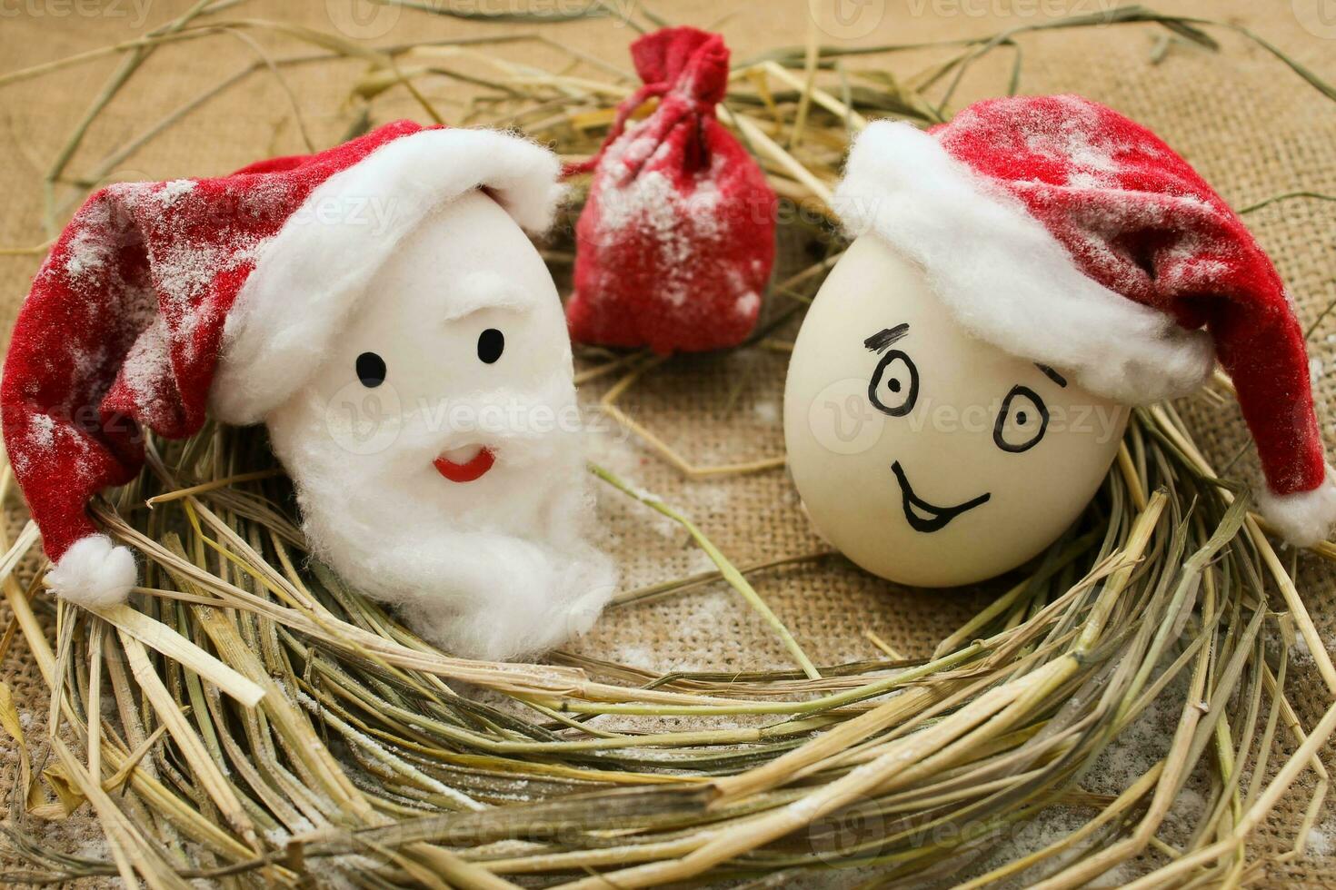 Happy eggs with painted faces in the nest for Christmas photo