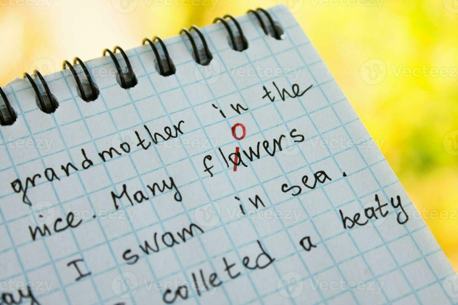 The bug is fixed in red pen in a notebook photo