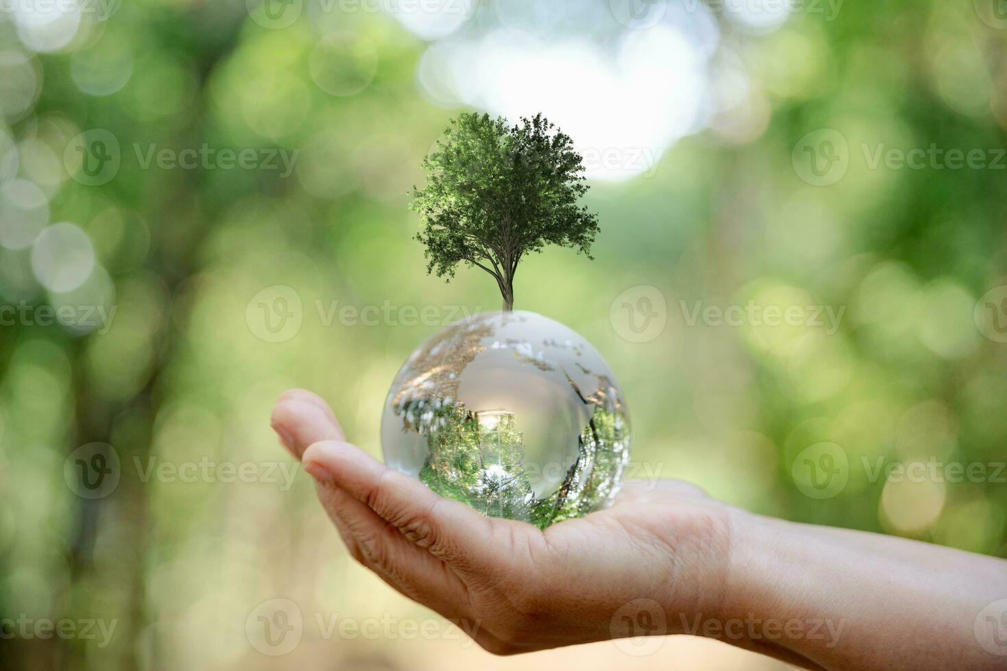 Environment World Earth Day. Earth crystal glass globe and growing tree in human hand on green background. Saving environment, save clean planet, ecology concept. Ecology and Sustainable Development. photo