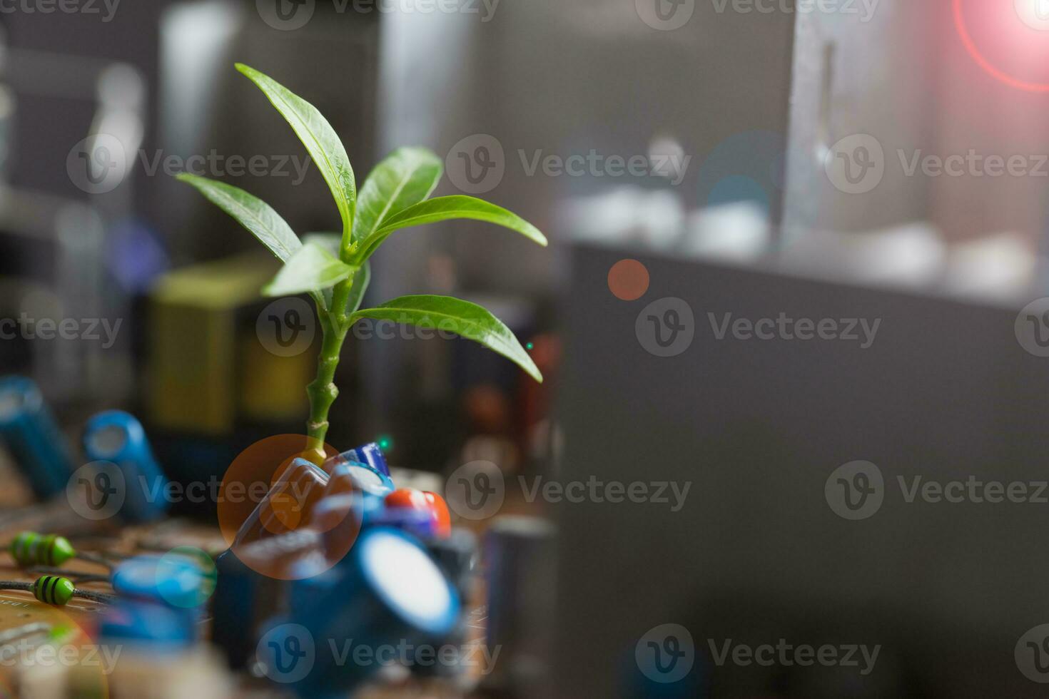 Tree growing on the converging point of computer circuit board. Green computing, Green technology, Green IT, CSR, and IT ethics. Concept of green technology. Environment green technology. photo