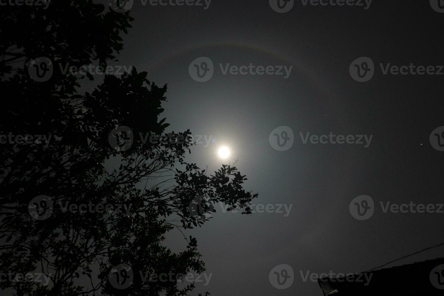 Moon Halo landscape photo