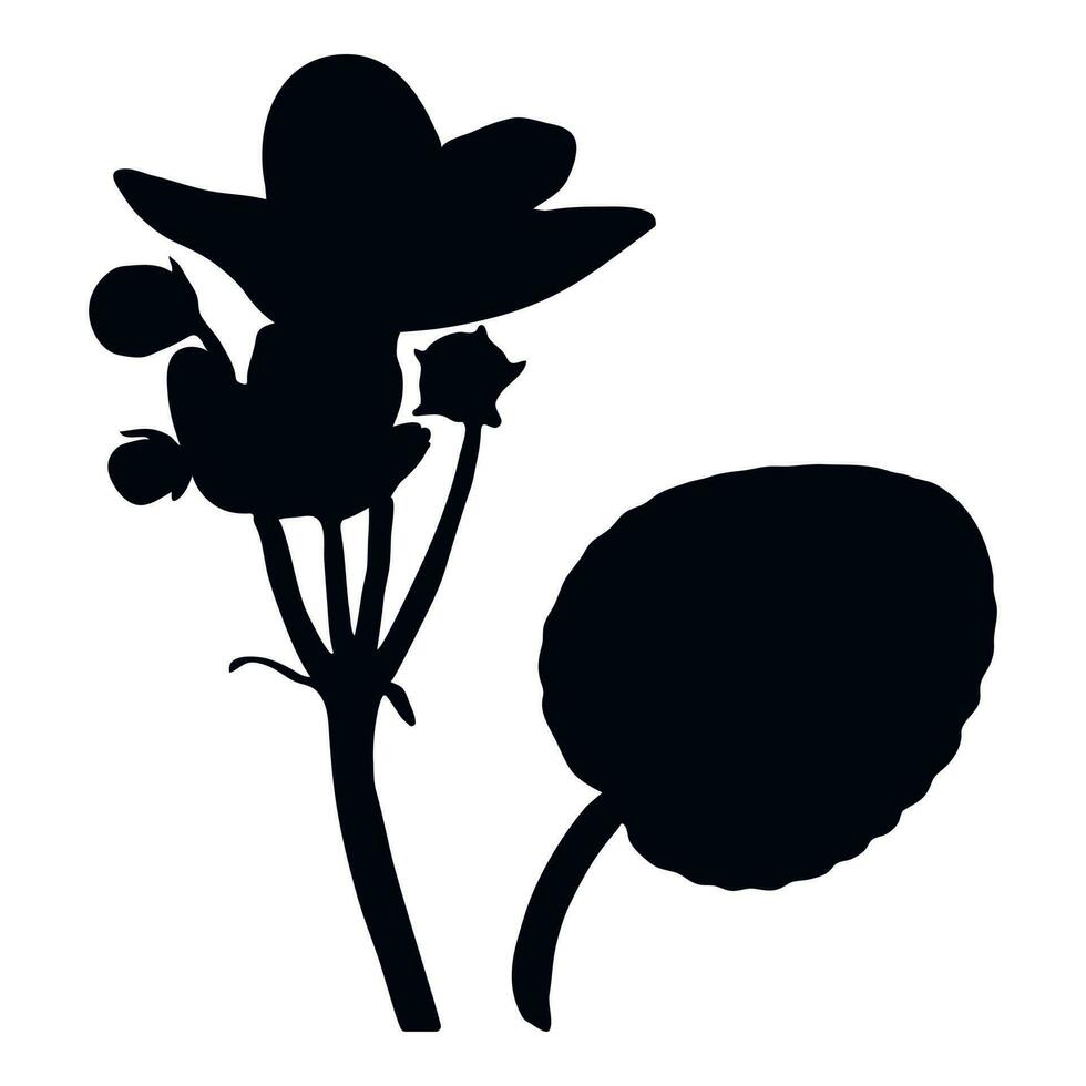 Vector real trendy modern silhouettes violet, viola. Freehand drawing plants, herbs.