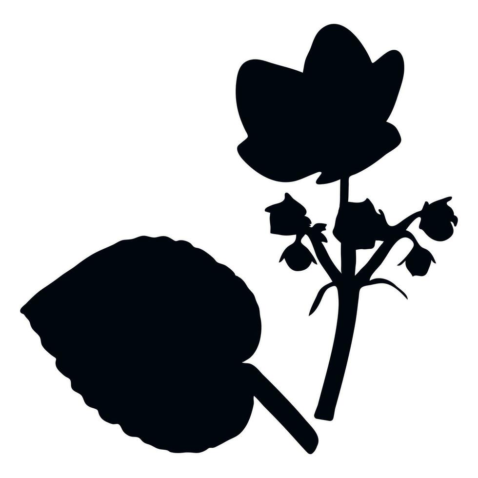 Vector real trendy modern silhouettes violet, viola. Freehand drawing plants, herbs.