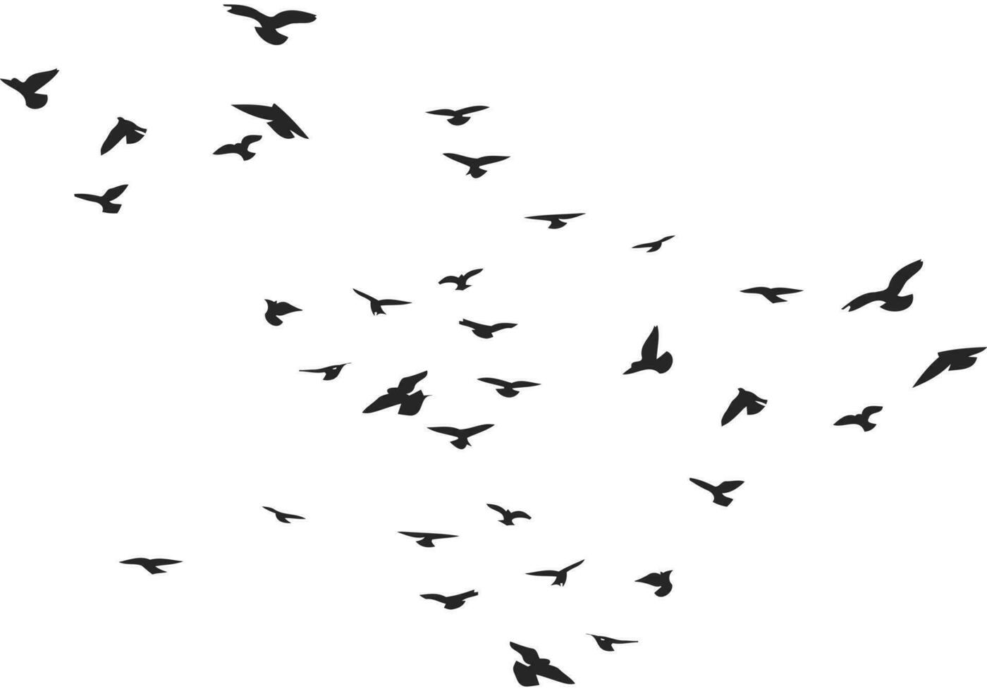 A flock of flying birds silhouette, flight in different positions. Hover, soaring, landing, flying, flutter. Isolated vector