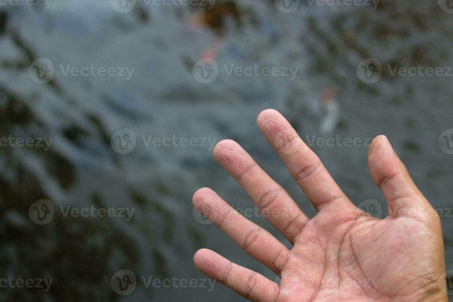 Wrinkled hand in a pool photo