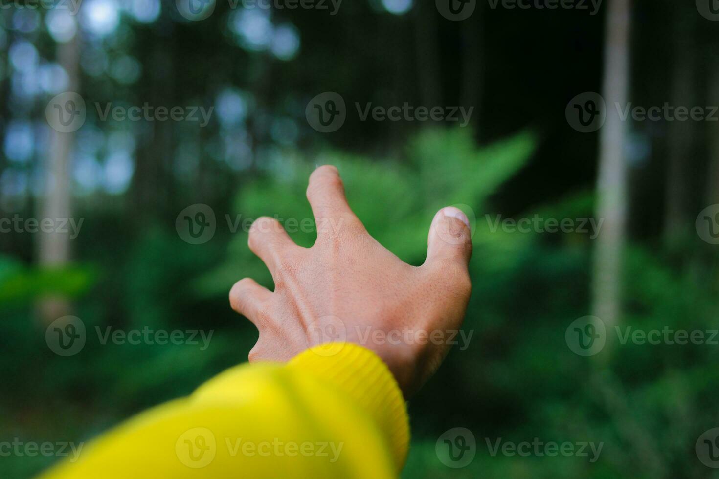 explorador masculino mano en un verde lluvioso bosque. foto