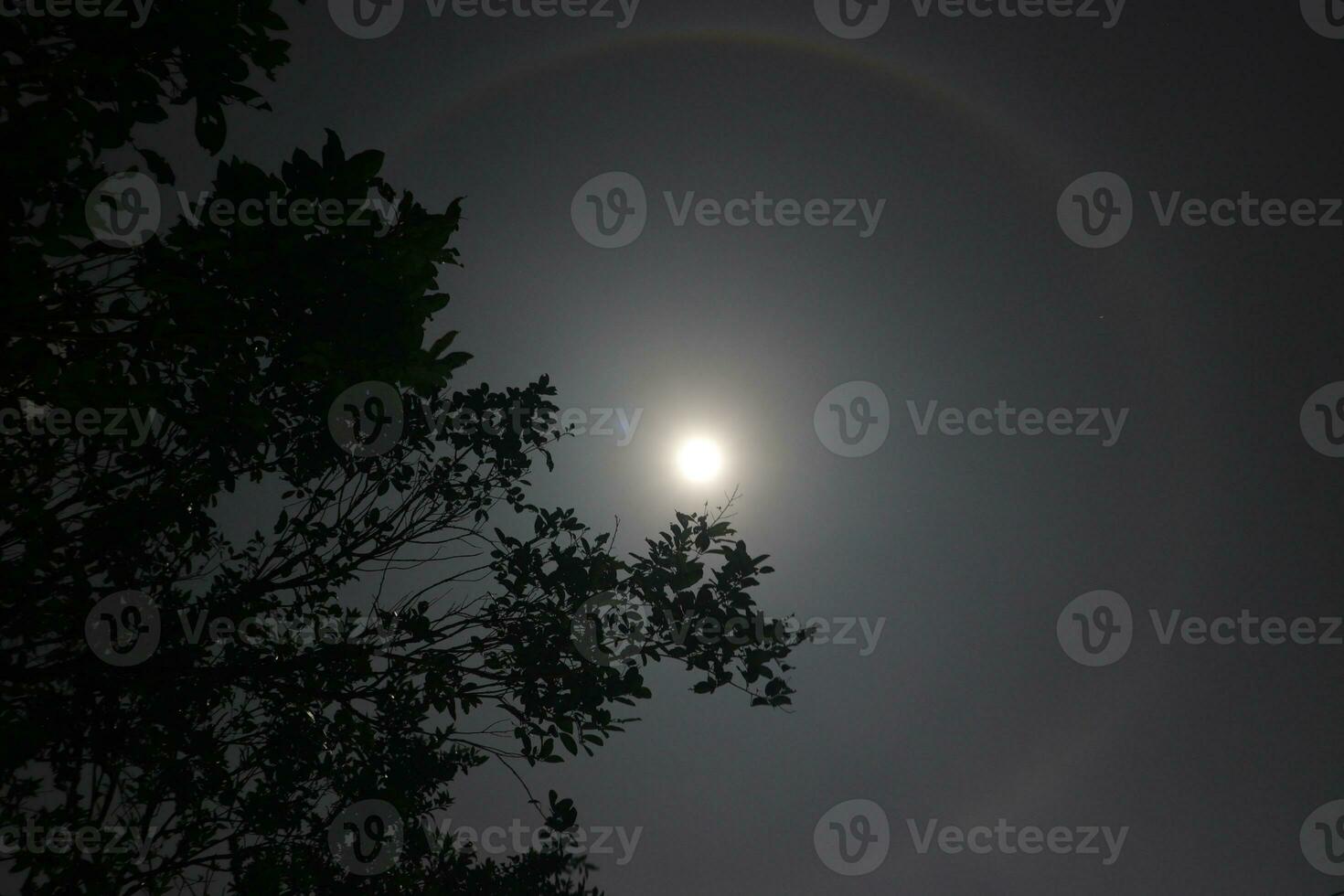 Moon Halo landscape photo
