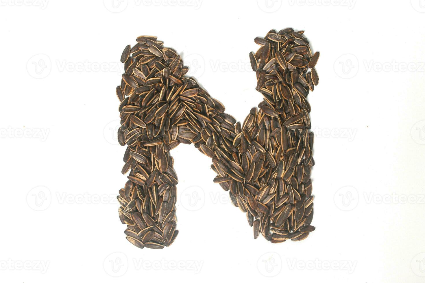 Alphabet made from Sunflower Seeds photo