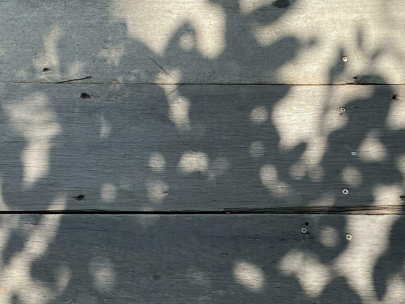 hojas sombra antecedentes en de madera piso textura, hojas árbol ramas sombra foto