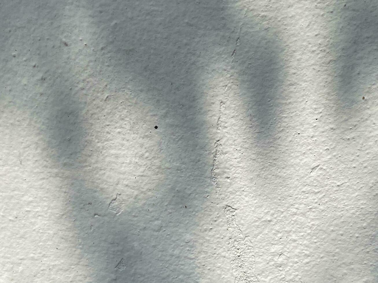 Leaves shadow background on concrete wall texture, leaves tree branches shade with sunlight photo