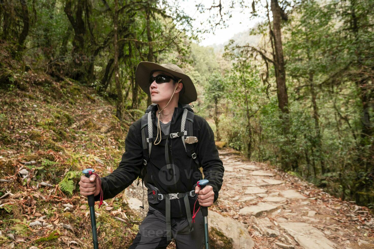 un joven viajero trekking en bosque sendero , Nepal foto