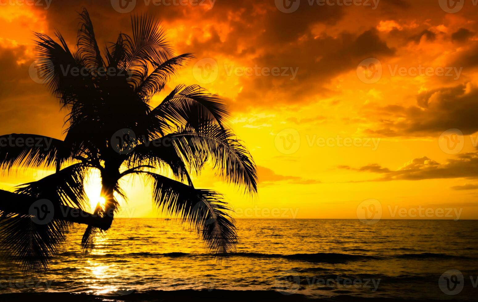 palm tree on the beach during sunset of beautiful a tropical beach on orange sky background photo