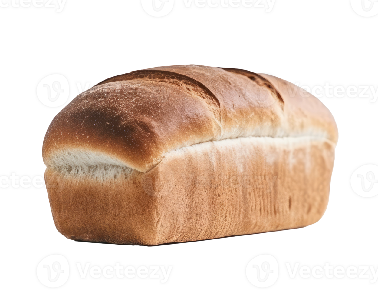 Fresh bread isolated. png