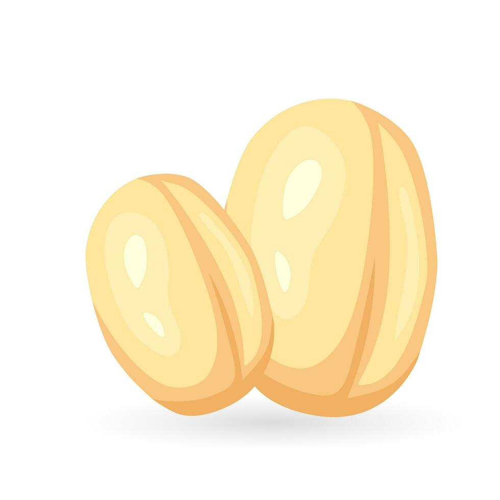 Realistic cartoon oat grain icon. Colorful vector illustration with wheat seed isolated on white background.