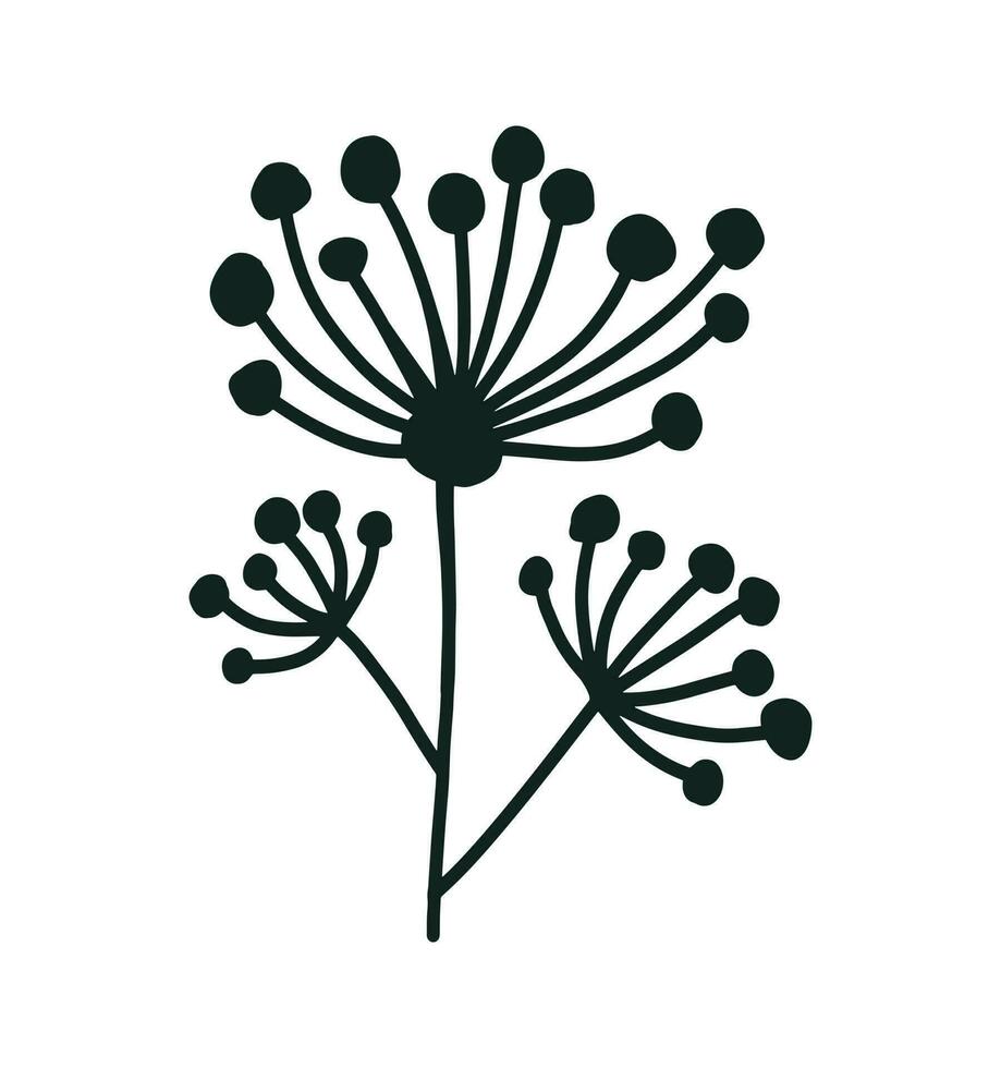 garabatear contorno eneldo flor aislado en blanco antecedentes. sencillo vector floral icono. logo diseño elemento. botánico hojas y sucursales.