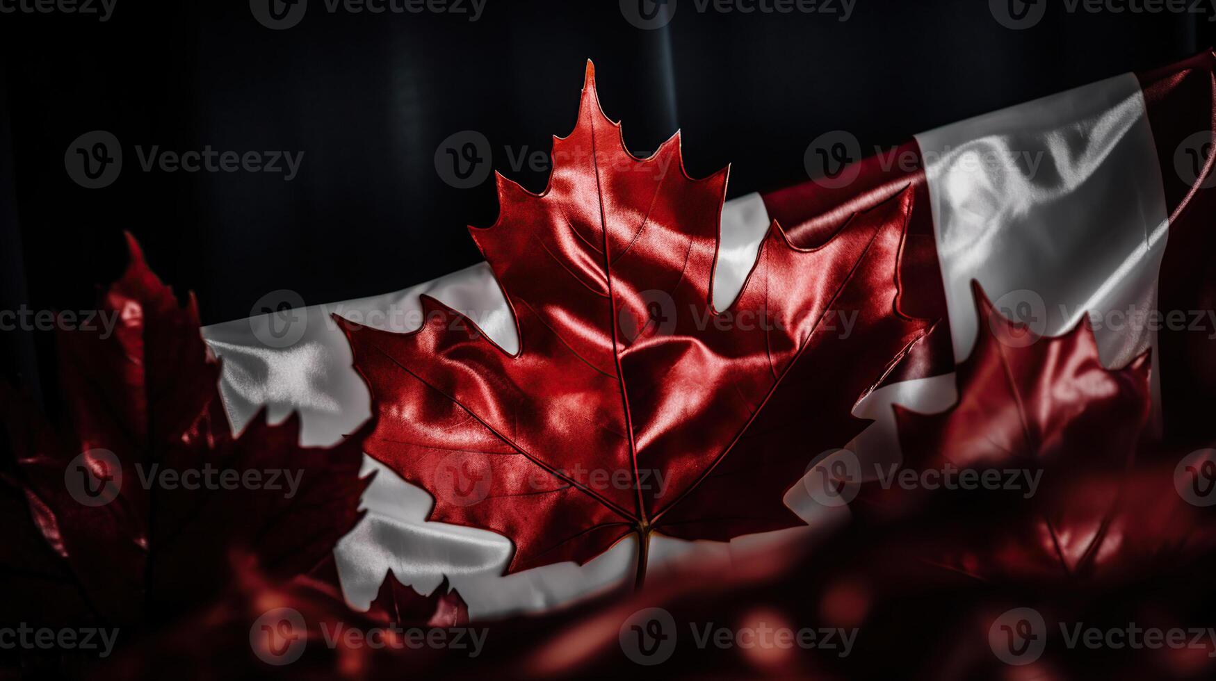 Happy Canada Day, photo