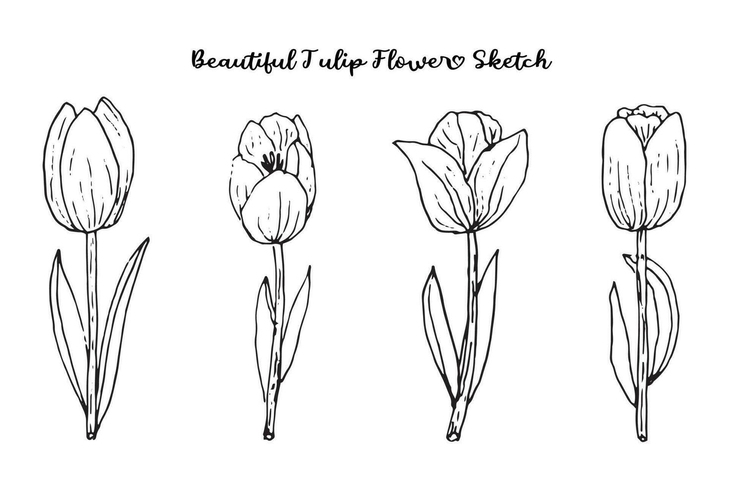 Aesthetic Spring Flower Sketch Collection vector