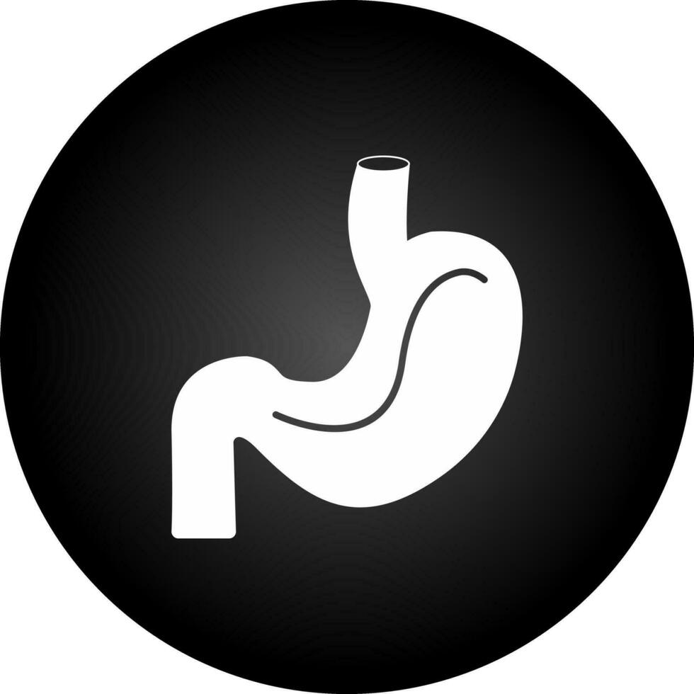 Stomach Vector Icon