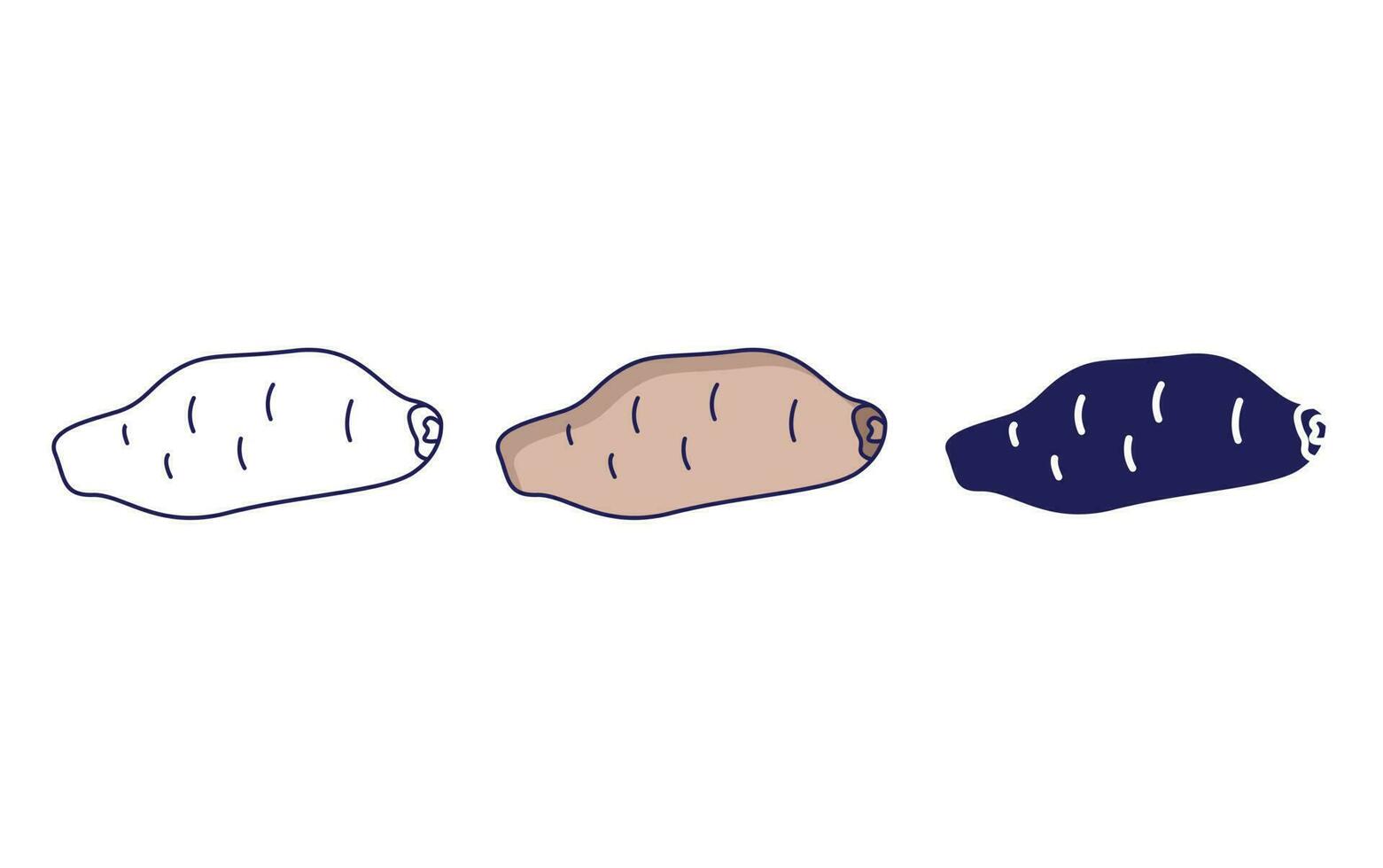 Yam vector icon