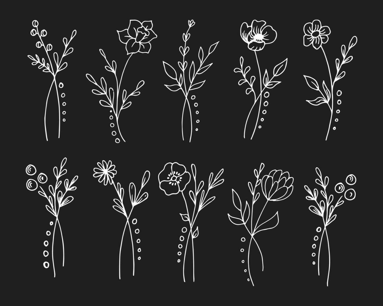 Hand drawn outline flowers, set. Sketch, botanical icons, vector