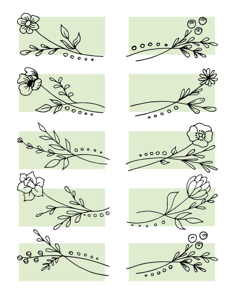 Hand drawn outline flowers, set. Sketch, botanical icons, vector