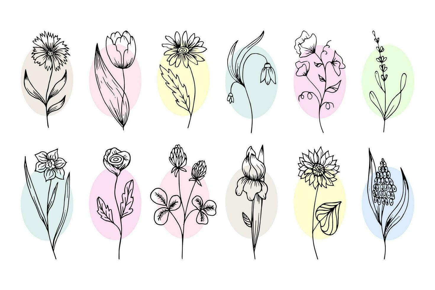 Hand drawn outline flowers, set. Sketch, botanical icons, vector