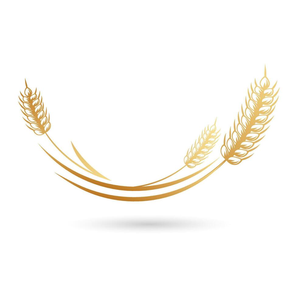 Spikelets of wheat, rye, barley. Golden icon, elegant design, vector